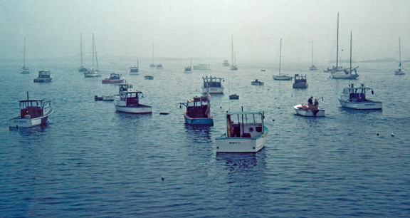 Boats in Camden Bay 1981